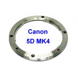 Bagnet body Canon EOS 5DMK4